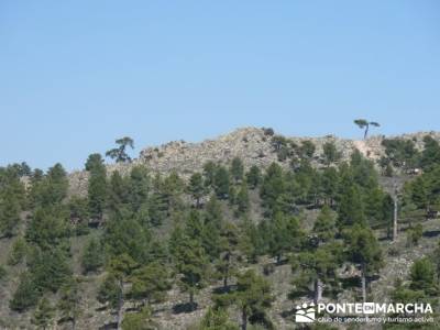 Cuerda de Cuelgamuros - Senderismo Ávila - Ruta Madrid; parque natural alto tajo